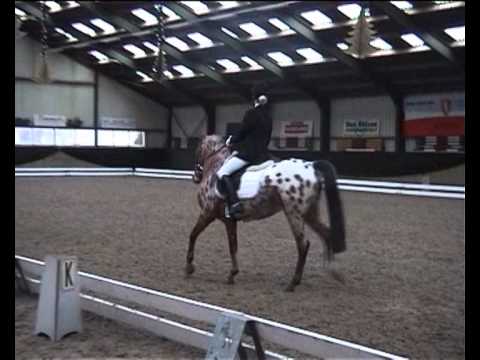 2012_01_08 Regio selectie Groenendaal Bunschoten Sharona Preof 19.wmv