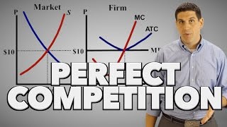 Perfect Competition in the Short Run- Microeconomics 3.8