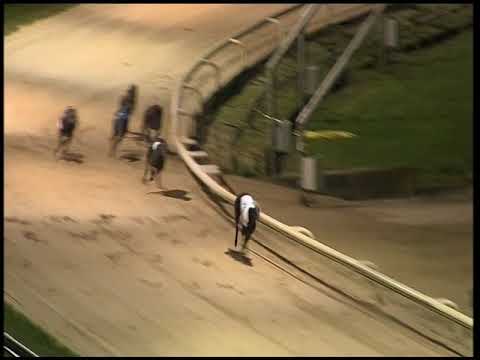 2017 CORAL OLYMPIC - HEAT 6 - T3 KING TURBO