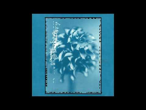 Placid Angles – The Cry (Peacefrog Records, 1997)