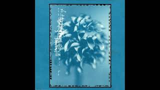 Placid Angles – The Cry (Peacefrog Records, 1997)