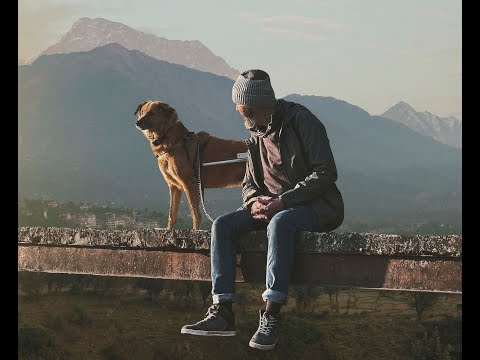Tails of the Himalayas...of Dogs & Devotees
