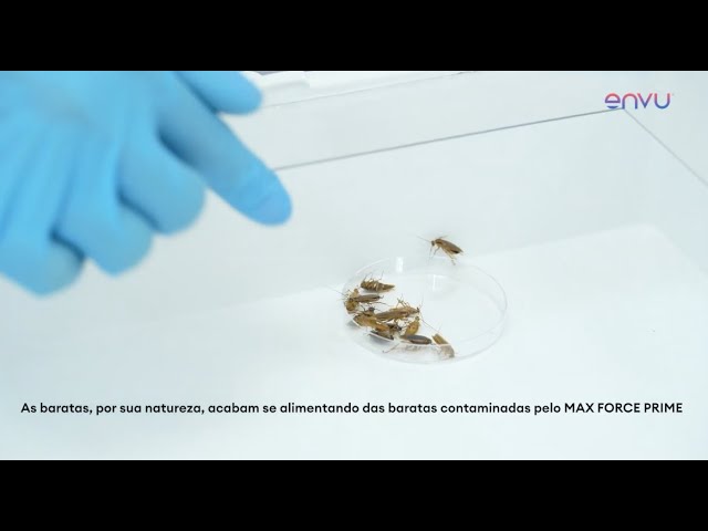 ماكس فورس برايم جل لمكافحة الصراصير 30 جرام