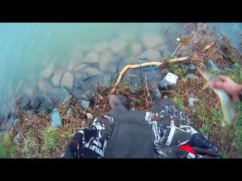 Angeln auf Raubfisch am 28.1.2018