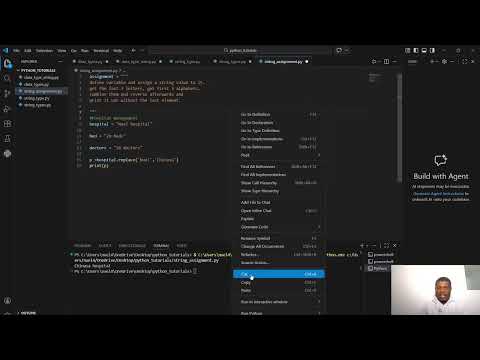 Solving Python String Problems Step By Step Student Assignment Solutions