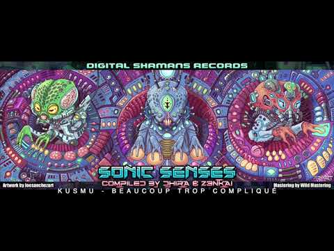 KUSMU - Beaucoup Trop Compliqué (VA Sonic Senses by Z3nkai & Dhira CD2)