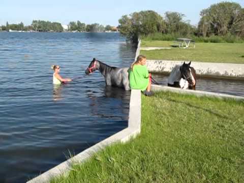 download lagu mp3 mp4 Horse Water, download lagu Horse Water gratis, unduh video klip Download Horse Water Mp3 dan Mp4 320kbps Gratis