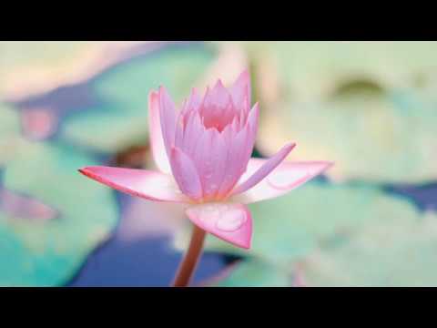 One Minute Meditation | Calm & Clear Your Mind
