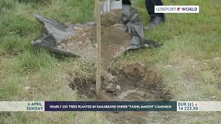 NEARLY 250 TREES PLANTED IN SAMARKAND UNDER “YASHIL MAKON” CAMPAIGN