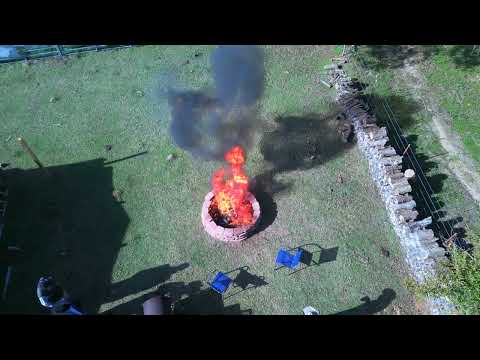 🤠✨ Exploring the Beauty of Bossville Farms in the Lone Star State! 🌵🐮 #TexasPride #FarmLife