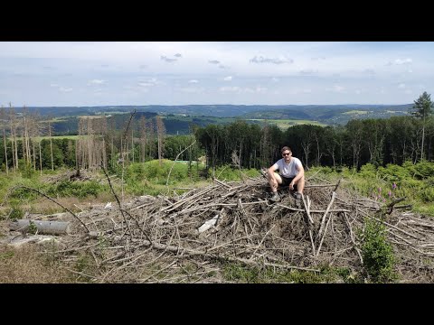 F*** You Borkenkäfer - Film zur Veranstaltung "Wald mit Zukunft"