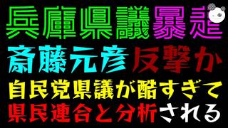【斎藤元彦】自民党県議の質問が酷すぎて、県民連合と分析されてしまうｗ『兵庫県議会が学級崩壊状態に』