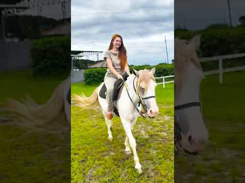 ANA POR SC | Joinville, Florianópolis, Gaspar, Ibirama e Presidente Getúlio