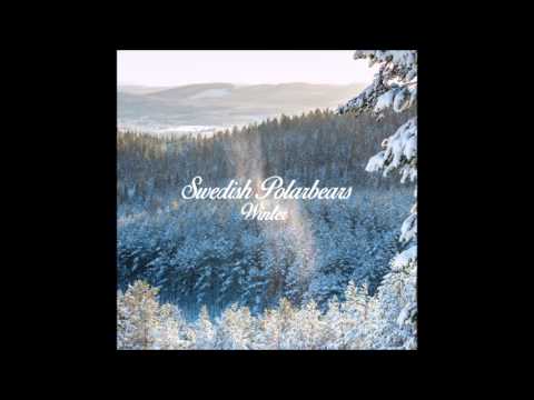 Swedish Polarbears   Winter