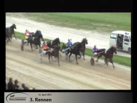 15. April 2017 3. Rennen Trabrennbahn Wels