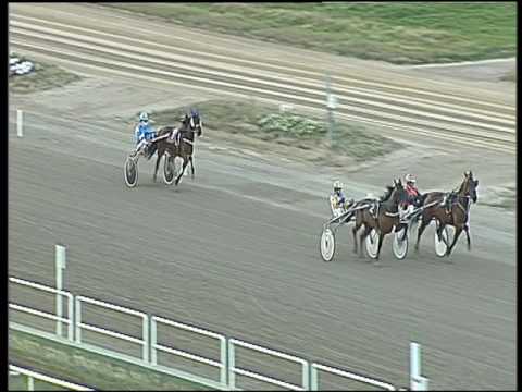 Trotto 19/02/2017 - prova di qualifica