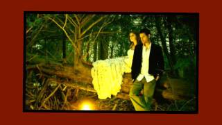 Francis Lai - Theme From "Love Story"