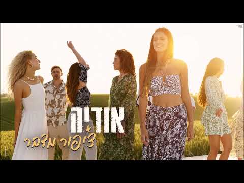 ציפור מדבר