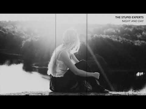 THE STUPID EXPERTS - NIGHT AND DAY