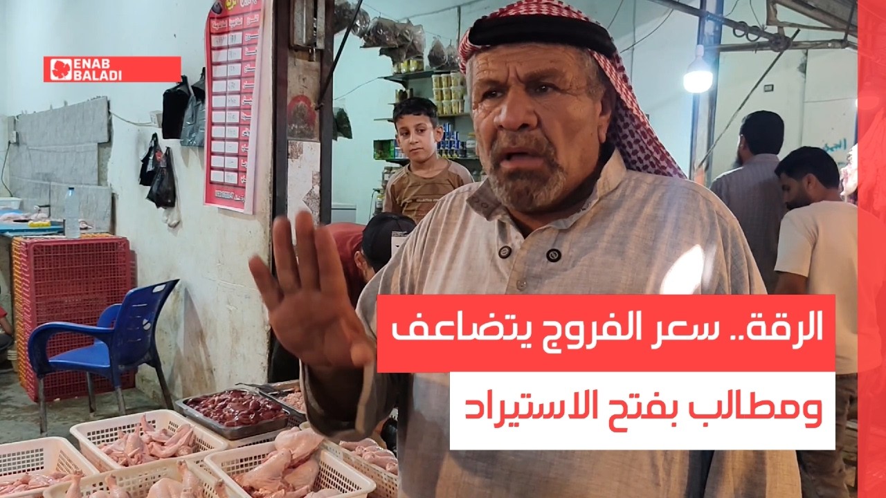 الرقة.. سعر الفروج يتضاعف ومطالب بفتح الاستيراد