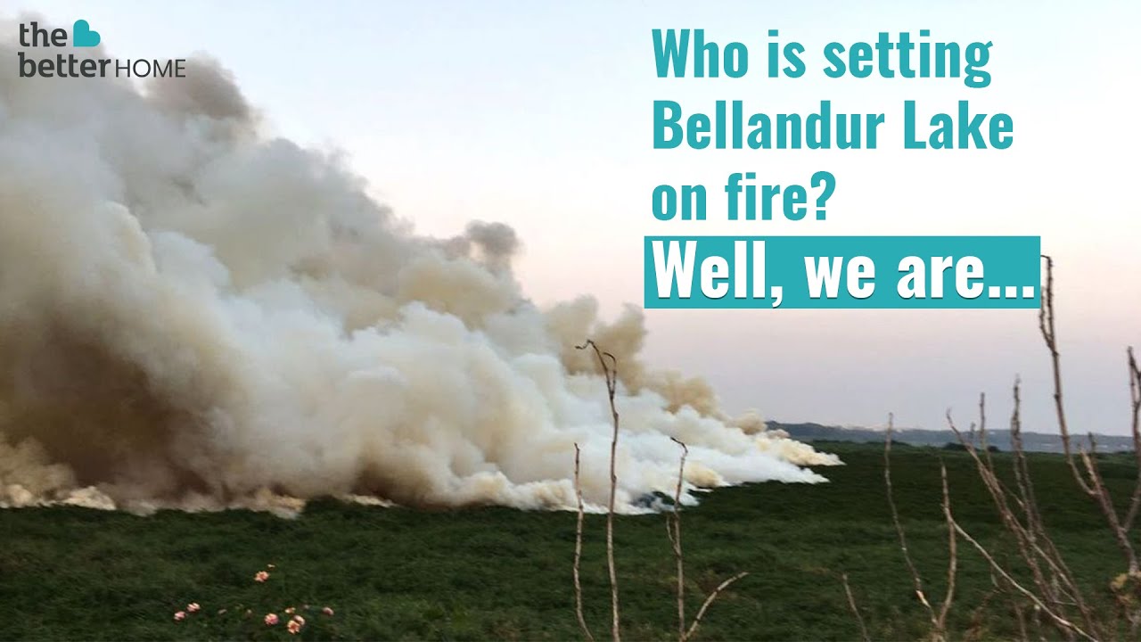 Who’s Setting Bellandur Lake on Fire? We Are