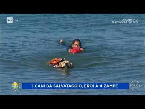 Se il dolore articolare non è aiutare diclofenac Codice CIM 10 spalla DOA congiunta