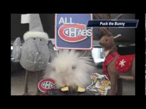 Puck the Bunny Predicts: Montreal Canadiens vs Florida Panthers