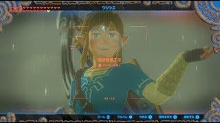 【初見実況生放送】突入ハイラル城【BotW】