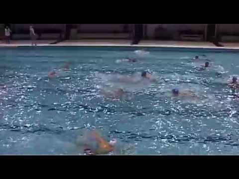 Serie B Girone 2, 8a Giornata: Nuoto Vicenza-Mestrina Nuoto