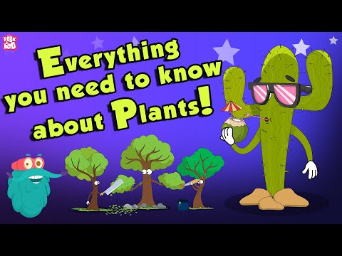 , title : 'Everything You Need To Know About Plants | Source Of Oxygen | The Dr Binocs Show | Peekaboo Kidz'