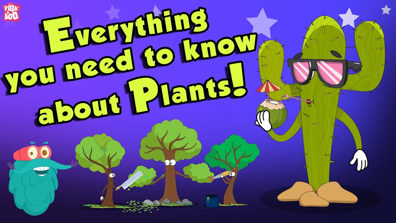 Everything You Need To Know About Plants | Source Of Oxygen | The Dr Binocs Show | Peekaboo Kidz