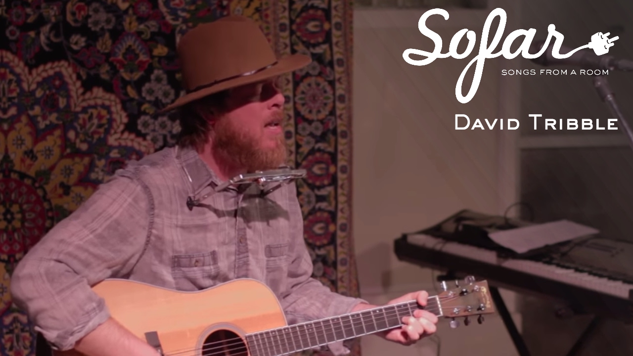 Promotional video thumbnail 2 for David Tribble