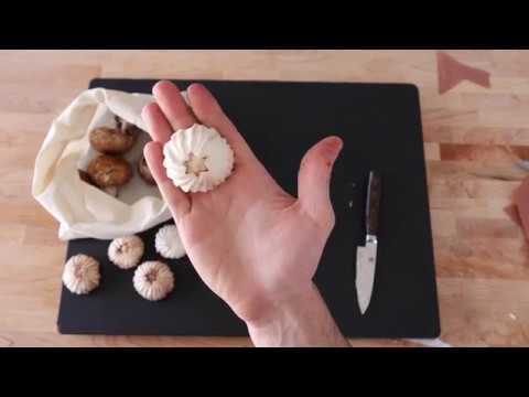 The Fluted Mushroom | Satisfying Visuals