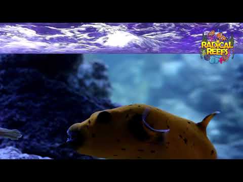 Vidigi Media Services video.