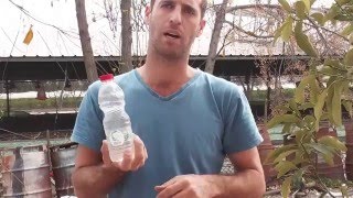 טריק של השקיה לימים חמים