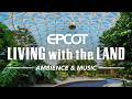 Living With The Land Ambience Walt Disney World Music Ambience 4K