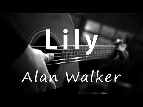 Lily - Alan Walker ( Acoustic Karaoke )