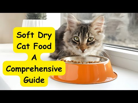 Soft Dry Cat Food: A Comprehensive Guide #cat #catlover