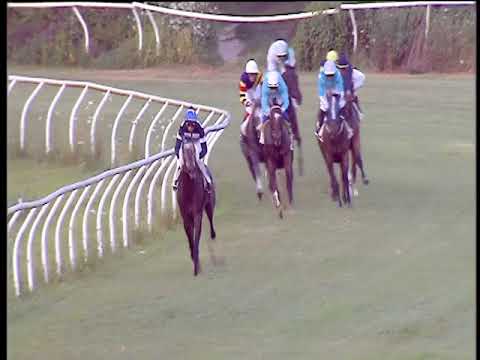 Galoppo 20/07/2018 - 6ª corsa