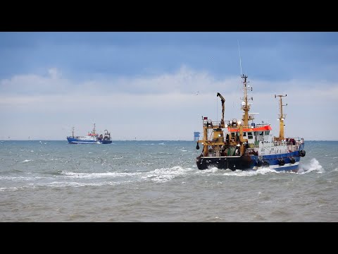 WIRON 5 en 6 naar zee 1e reis 2021. Scheveningen   4-1-2021