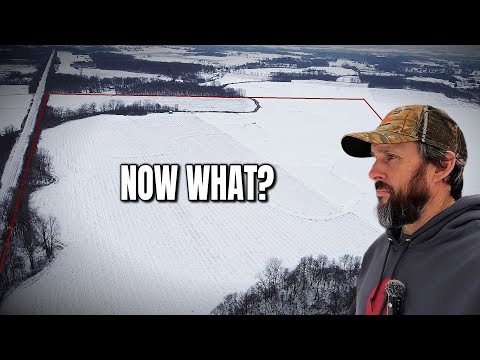 We Bought 73 Acres — Now What?