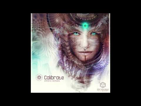 Calibrate - Dreams Align