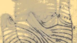 He Will Call You Baby