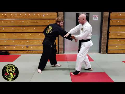 Chinto Bunkai  drill 4