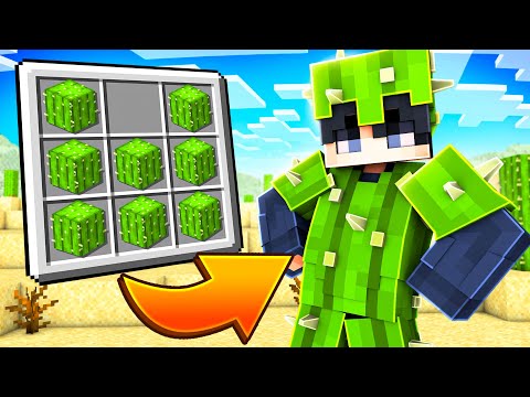 Minecraft, but with ARMOR made from EVERY BLOCK...