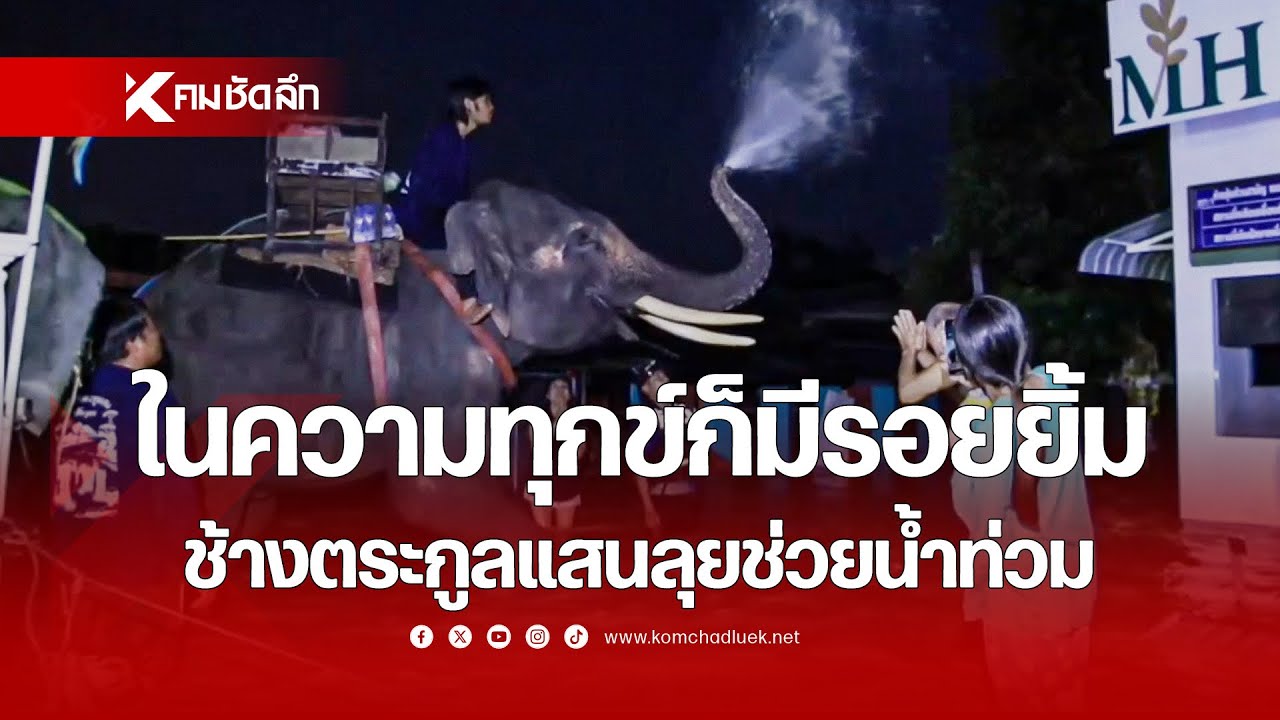 ในความทุกข์ก็มี 'รอยยิ้ม' ช้างตระกูลแสนลุยช่วยน้ำท่วม