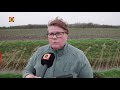Actievoerders planten uit protest bomen op verschillende plaatsen in Brabant.