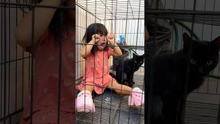 Download lagu Alanna di masukin kandang kucing ? mp3 Download lagu Alanna di masukin kandang kucing ? mp3