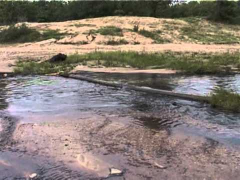 jurnal 23 05 2012 poluare cotmeana, mihaela ivascu