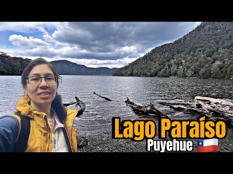 COMO LLEGAR AL LAGO PARAÍSO / TREKKING COMPLETO 😬 - PUYEHUE 🇨🇱 